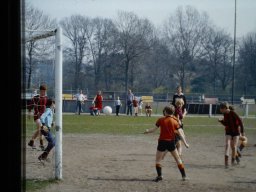 0DIA 1984 RAVA PUPS 1